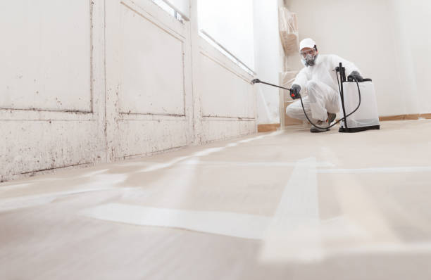 24/7 Emergency Attic Mold Removal experts in Greenville, VA