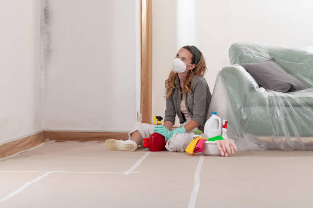 Reliable Attic Mold Removal contractor in Greenville, VA by WQB Mold Removal