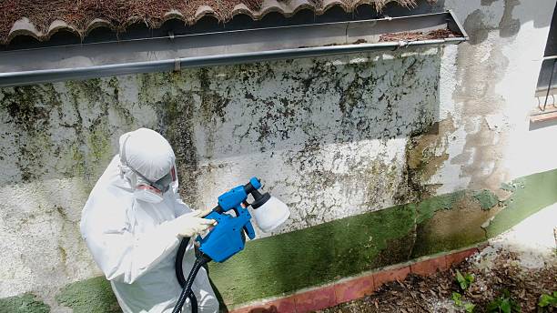 Top rated local Attic Mold Removal specialists in Greenville, VA